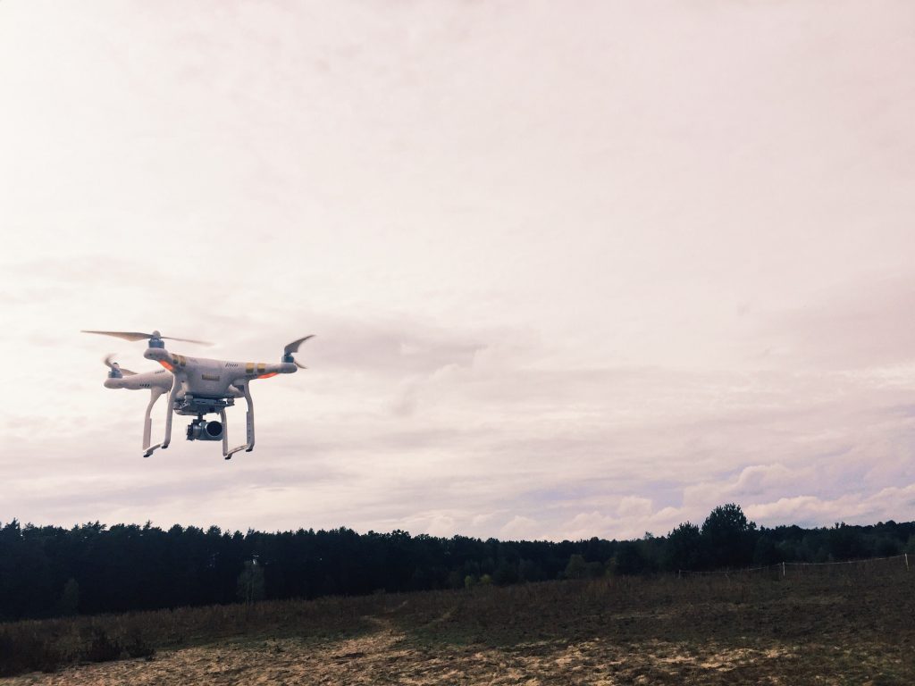 Dron above meadow
